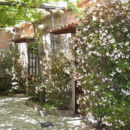 Casa Loureiro Guest House Caldas De Reis Luaran gambar